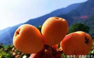 细腰校园甜柚子笔趣阁-健康美味的学生零食新宠