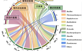 imtoken钱包带宽获取指南：免费方案与租赁平台解析