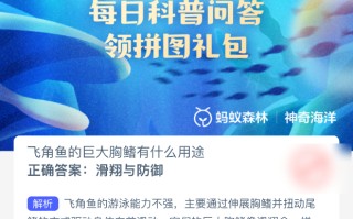 飞角鱼的巨大胸鳍有什么用途