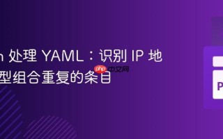 Python 处理 YAML：识别 IP 地址与类型组合重复的条目
