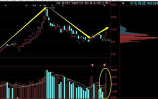 华天科技股吧，投资策略与信息获取-投资者互动指南