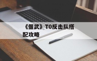 《偃武》T0反击队搭配攻略