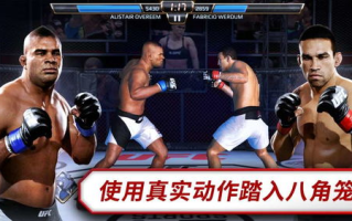 UFC游戏手机版,移动端的极限格斗体验-下载与安装指南