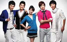 免费观看《一起又看流星雨》电视剧全集-合法途径与方法解析