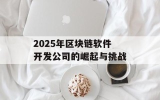2025年区块链软件开发公司的崛起与挑战