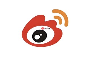 微博怎样设置博文分享权限_微博分享链接权限与平台选择方法
