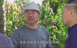 《乡村爱情13部全集免费观看，追寻田园生活的温馨故事》