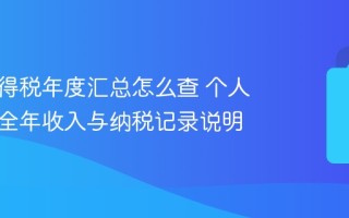 个人所得税年度汇总怎么查 个人所得税全年收入与纳税记录说明