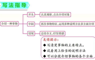 种子搜索神器,高效下载解决方案解析
