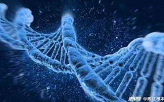麻花天美星空果冻,传统与创新结合的美味-制作与品鉴指南