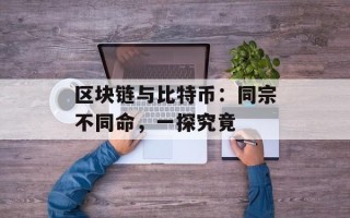 区块链与比特币：同宗不同命，一探究竟