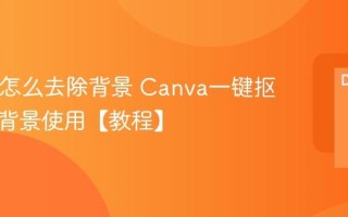Canva怎么去除背景 Canva一键抠图透明背景使用【教程】