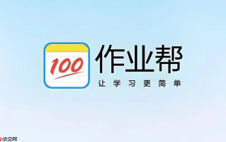 作业帮网页版链接入口 无需安装浏览器即开即用