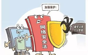 年轻表妹网络安全,个人信息保护策略-网络陷阱防范指南