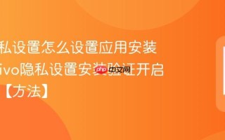 vivo隐私设置怎么设置应用安装验证_vivo隐私设置安装验证开启与例外【方法】