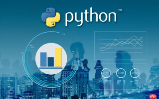 怎样在python中写汉字