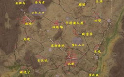 荒岛求生游戏,挑战极限-生存技巧与游戏解析