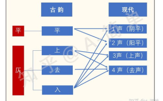 综艺节目大全,盘点各类精彩纷呈的节目内容-娱乐生活指南