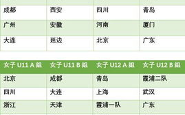 2018年世界杯赛程表及结果解析-赛事回顾与精彩瞬间
