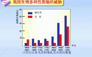 主流看视频APP一览，满足你的观影需求-功能与特点解析
