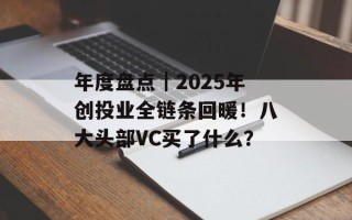 年度盘点｜2025年创投业全链条回暖！八大头部VC买了什么？