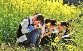 天美麻花乡村版免费观看攻略-合法途径与深度解析