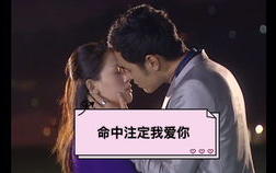 合法途径免费观看《命中注定我爱你》- 观看指南与剧情解析