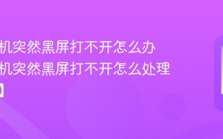 苹果手机突然黑屏打不开怎么办 苹果手机突然黑屏打不开怎么处理【修复】