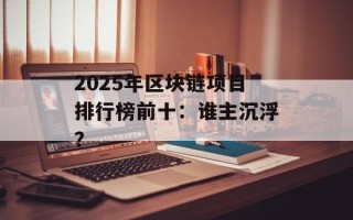 2025年区块链项目排行榜前十：谁主沉浮？