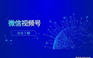 人物动物互动高清视频素材下载全攻略