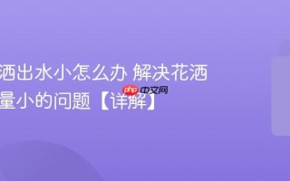 淋浴花洒出水小怎么办 解决花洒堵塞水量小的问题【详解】