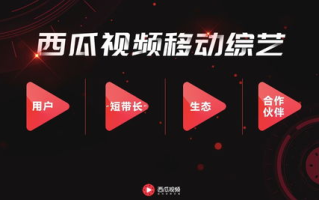 飘雪影视在线观看西瓜视频全攻略-观影新体验