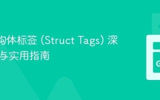 Go 结构体标签 (Struct Tags) 深度解析与实用指南