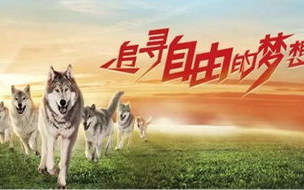 水牛影院，高品质观影体验-在线视频平台深度解析