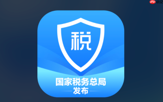 个人所得税查询入口 个人所得税纳税记录查询入口
