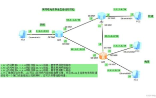 斗罗大陆3龙王传说,探寻奇幻世界-人物与故事解析