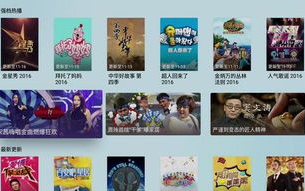 合法途径观看《亲爱的热爱的》-版权意识与观影体验并行