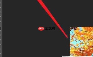 Photoshop变量可见性设置方法
