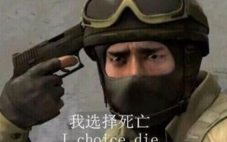 国外真人CSGO视频,提升游戏技巧的最佳资源-内容解析