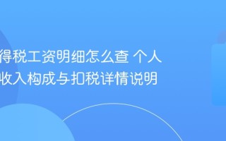 个人所得税工资明细怎么查 个人所得税收入构成与扣税详情说明
