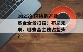 2025年区块链产业基金全景扫描：布局未来，哪些基金独占鳌头？