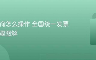 发票查询怎么操作 全国统一发票查询步骤图解