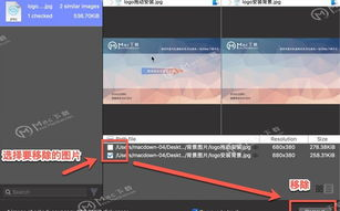 三生三世十里桃花图片搜索技巧与精选赏析-视觉盛宴解析