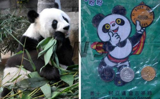 熊猫体育直播免费观看,高清赛事体验-观看指南解析