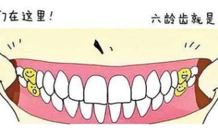 牙齿健康护理,日常习惯与专业建议-口腔保健全面解析