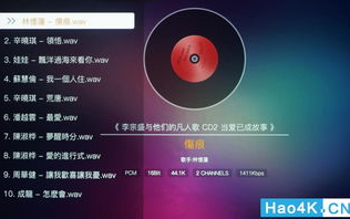 神马家庭影院系统,全方位娱乐体验-解决方案解析