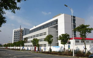 上海科技大学,国际化教育模式-科研实力与未来发展解析