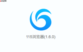 115网盘怎样在网页端预览视频_115网盘网页端预览视频方法【位置】