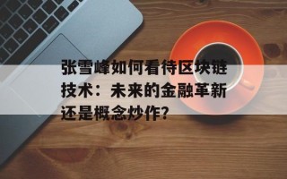 张雪峰如何看待区块链技术：未来的金融革新还是概念炒作？
