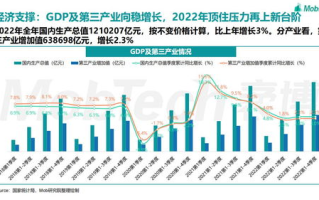 企业灵活应对市场变革的策略与实施